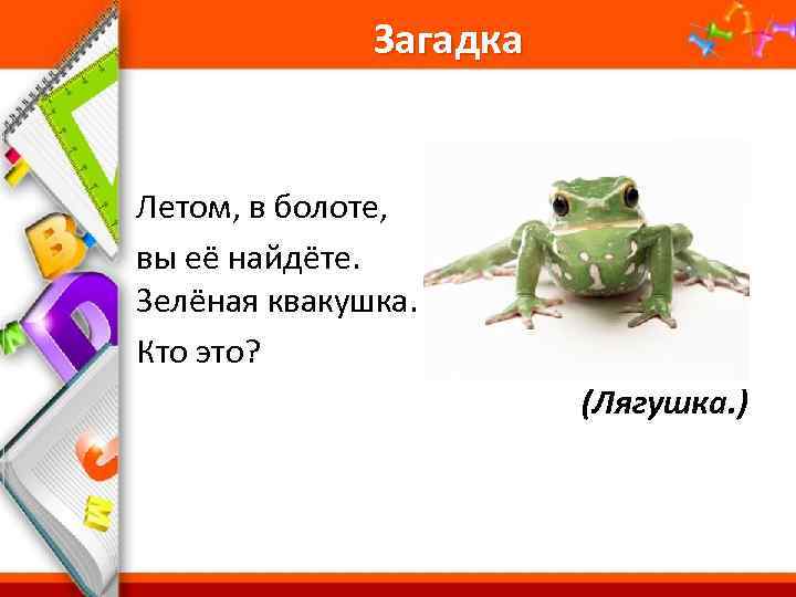 Загадка Летом, в болоте, вы её найдёте. Зелёная квакушка. Кто это? (Лягушка. ) Pro.