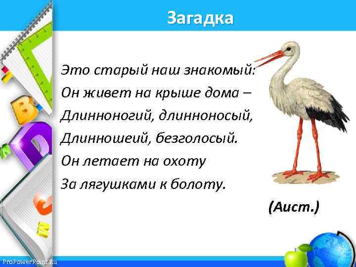 Загадка Это старый наш знакомый: Он живет на крыше дома – Длинноногий, длинноносый, Длинношеий,