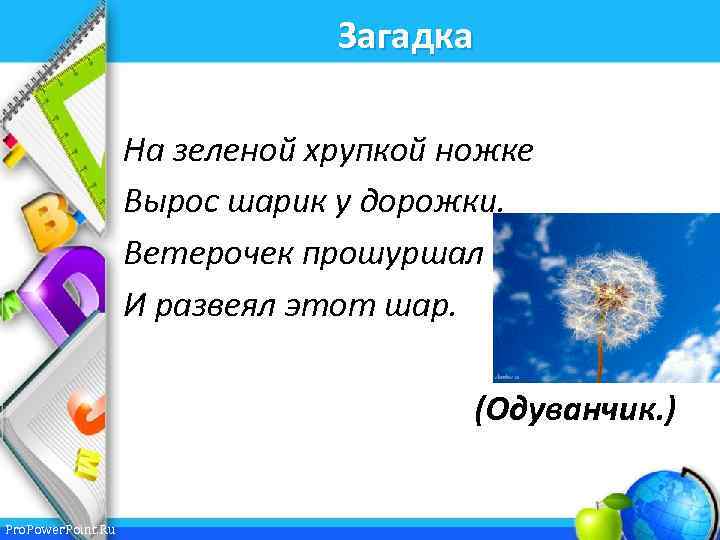 Загадка На зеленой хрупкой ножке Вырос шарик у дорожки. Ветерочек прошуршал И развеял этот
