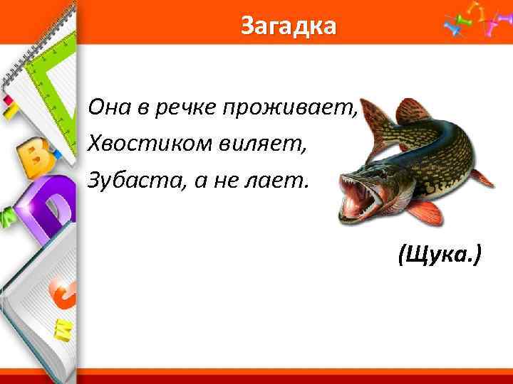 Загадка Она в речке проживает, Хвостиком виляет, Зубаста, а не лает. (Щука. ) Pro.