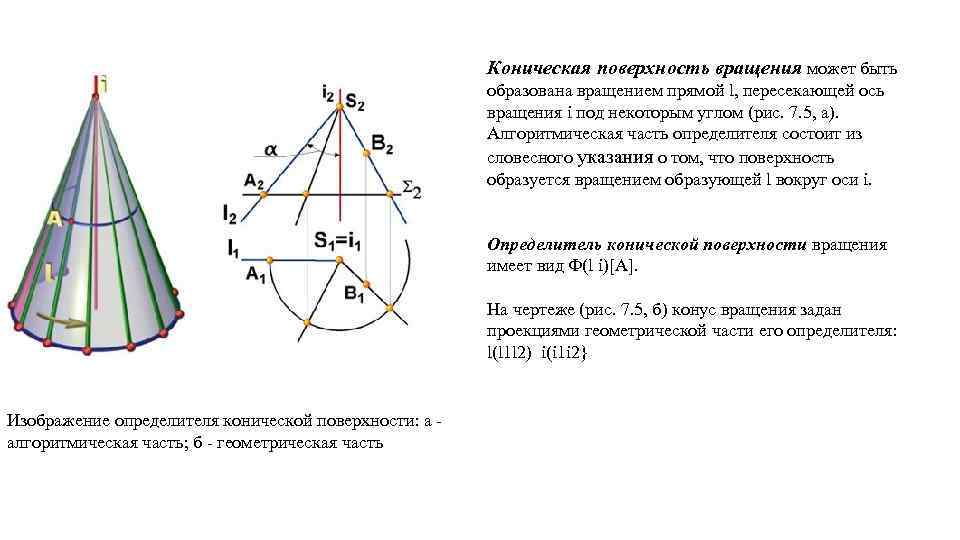 Коническая поверхность вращения может быть образована вращением прямой l, пересекающей ось вращения i под