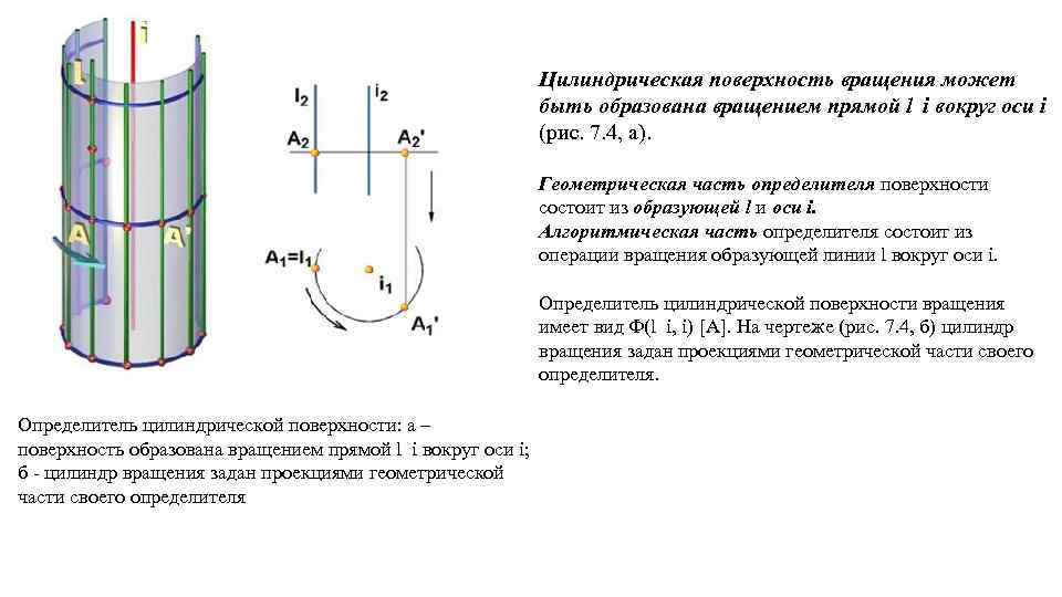 Цилиндрическая поверхность вращения может быть образована вращением прямой l i вокруг оси i (рис.