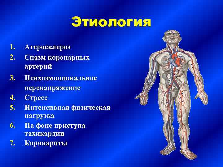 Этиология 1. 2. Атеросклероз Спазм коронарных артерий 3. Психоэмоциональное перенапряжение Стресс Интенсивная физическая нагрузка