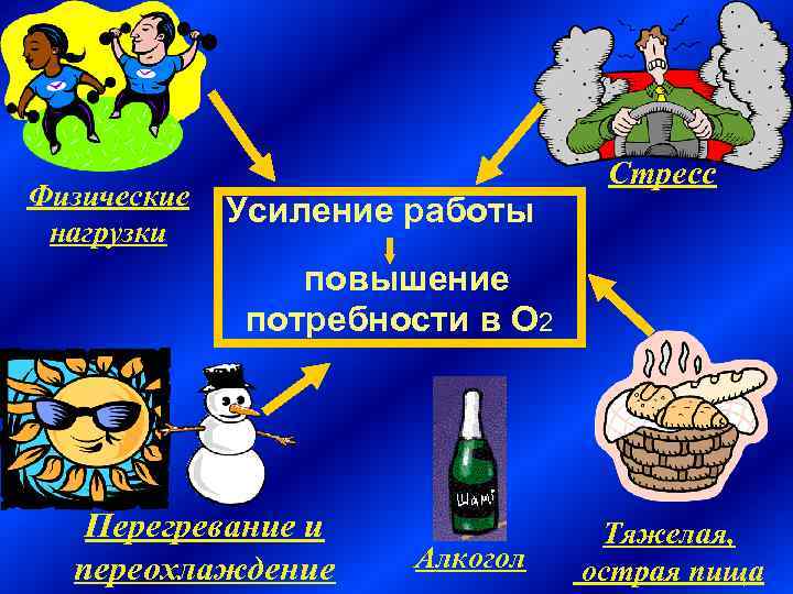 Физические нагрузки Стресс Усиление работы повышение потребности в О 2 Перегревание и переохлаждение Алкогол