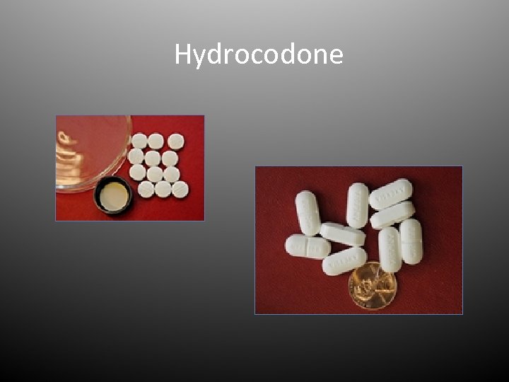 Hydrocodone 