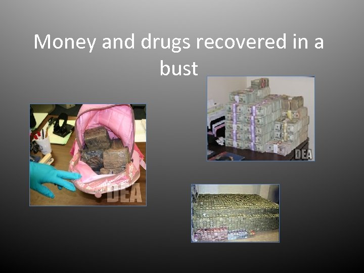Money and drugs recovered in a bust 