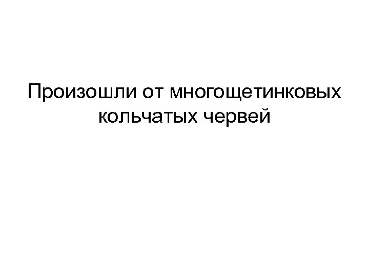 Произошли от многощетинковых кольчатых червей 