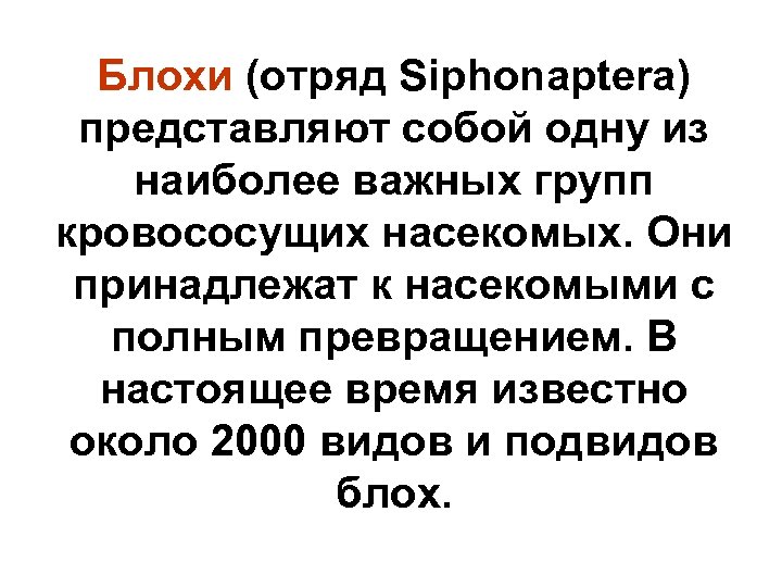Блохи (отряд Siphonaptera) представляют собой одну из наиболее важных групп кровососущих насекомых. Они принадлежат