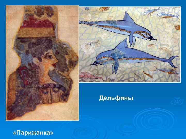 Дельфины «Парижанка» 