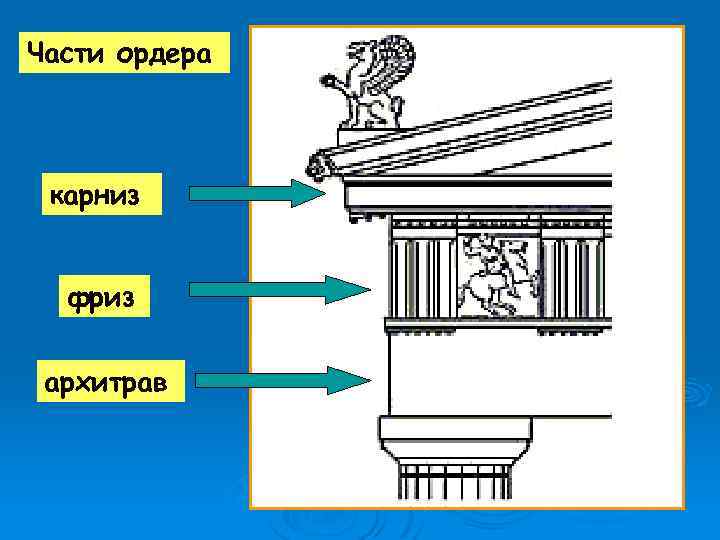 Части ордера карниз фриз архитрав 