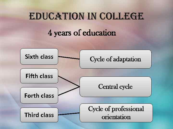 education in college 4 years of education Sixth class Cycle of adaptation Fifth class