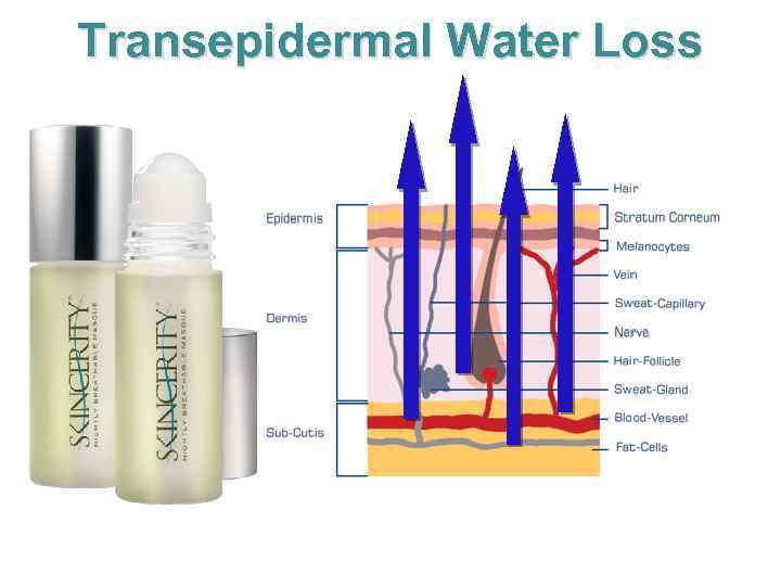 Transepidermal Water Loss 