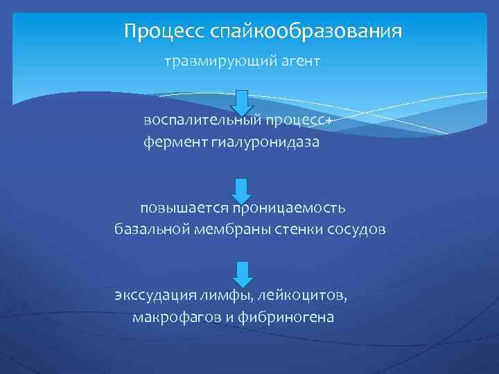 Процесс спайкообразования травмирующий агент воспалительный процесс+ фермент гиалуронидаза повышается проницаемость базальной мембраны стенки сосудов