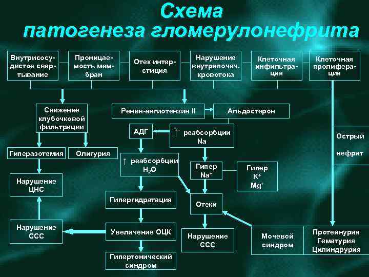 Схема патогенеза гломерулонефрита Внутрисосу дистое свер тывание Проницае мость мем бран Снижение клубочковой фильтрации