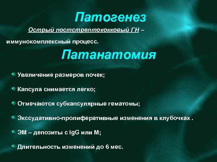 Патогенез Острый постстрептококковый ГН – иммунокомплексный процесс. Патанатомия Увеличение размеров почек; Капсула снимается легко;