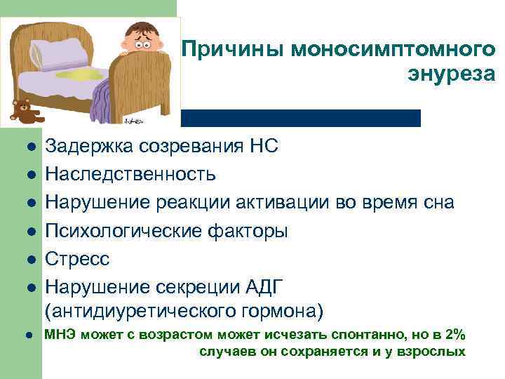 Причины моносимптомного энуреза l l l l Задержка созревания НС Наследственность Нарушение реакции активации