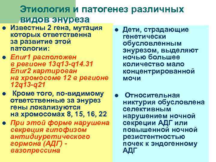 Этиология и патогенез различных видов энуреза l l Известны 2 гена, мутация которых ответственна