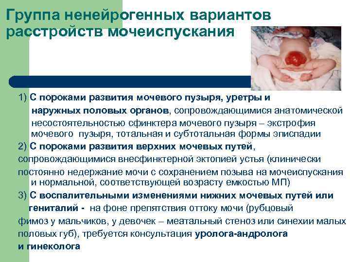 Группа ненейрогенных вариантов расстройств мочеиспускания 1) С пороками развития мочевого пузыря, уретры и наружных