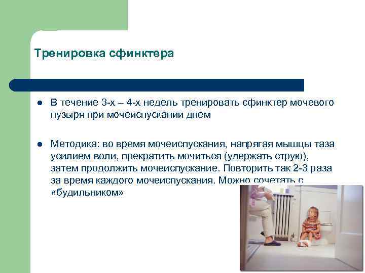Тренировка сфинктера l В течение 3 -х – 4 -х недель тренировать сфинктер мочевого