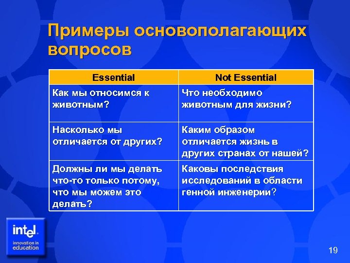Примеры основополагающих вопросов Essential Not Essential Как мы относимся к животным? Что необходимо животным