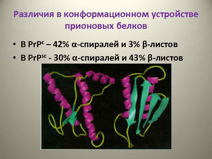 Различия в конформационном устройстве прионовых белков • В Pr. Pс – 42% α-спиралей и