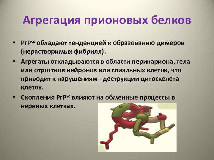 Агрегация прионовых белков • Pr. Psс обладают тенденцией к образованию димеров (нерастворимых фибрилл). •