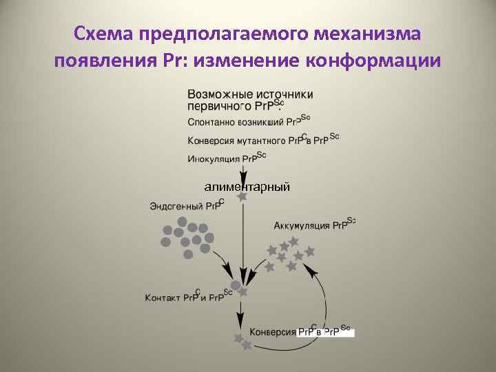 Схема предполагаемого механизма появления Pr: изменение конформации алиментарный 