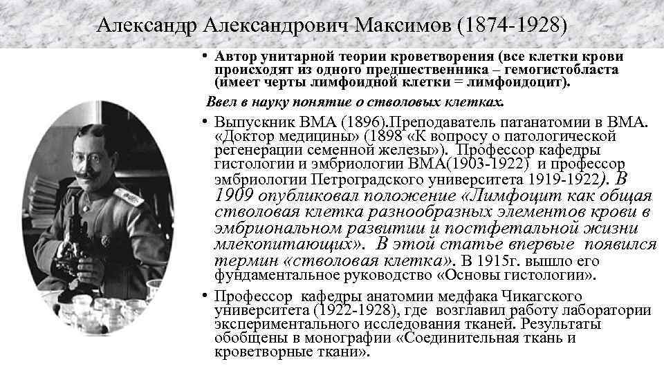 Александрович Максимов (1874 -1928) • Автор унитарной теории кроветворения (все клетки крови происходят из