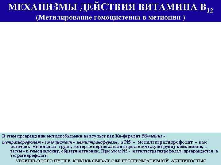 МЕХАНИЗМЫ ДЕЙСТВИЯ ВИТАМИНА В 12 (Метилирование гомоцистеина в метионин ) В этом превращении метилкобаламин