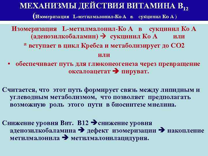 МЕХАНИЗМЫ ДЕЙСТВИЯ ВИТАМИНА В 12 (Изомеризация L-метилмалонил-Ко А в сукцинил Ко А ) Изомеризация