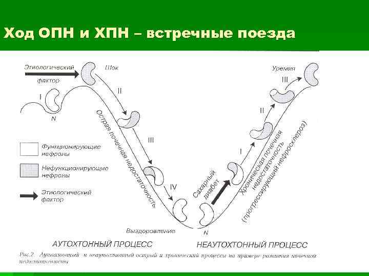 Ход ОПН и ХПН – встречные поезда 