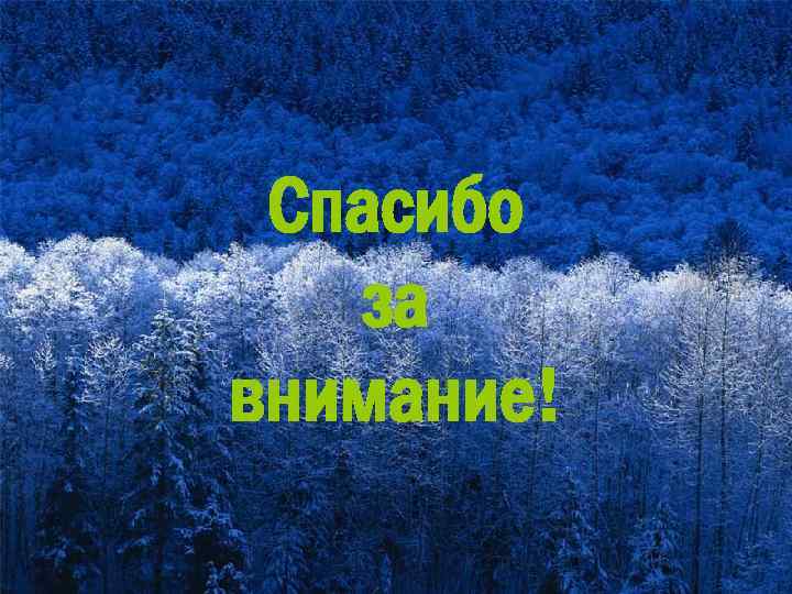 Спасибо за внимание! 