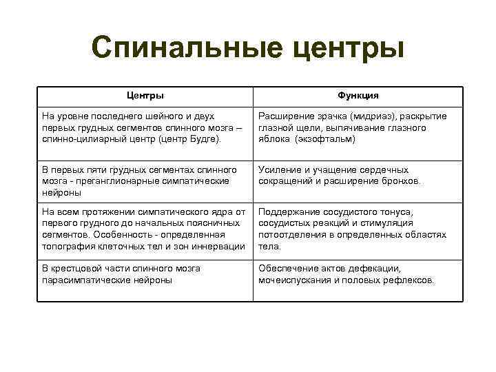 Спинальные центры Центры Функция На уровне последнего шейного и двух первых грудных сегментов спинного