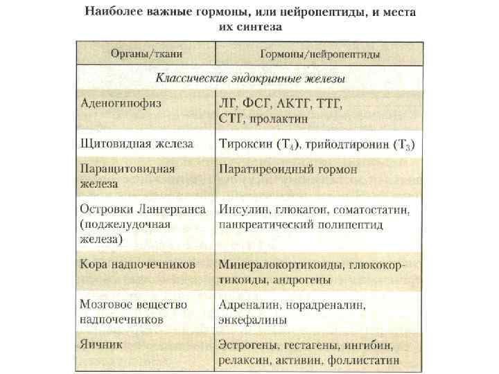 Железы внутренней секреции характеристика