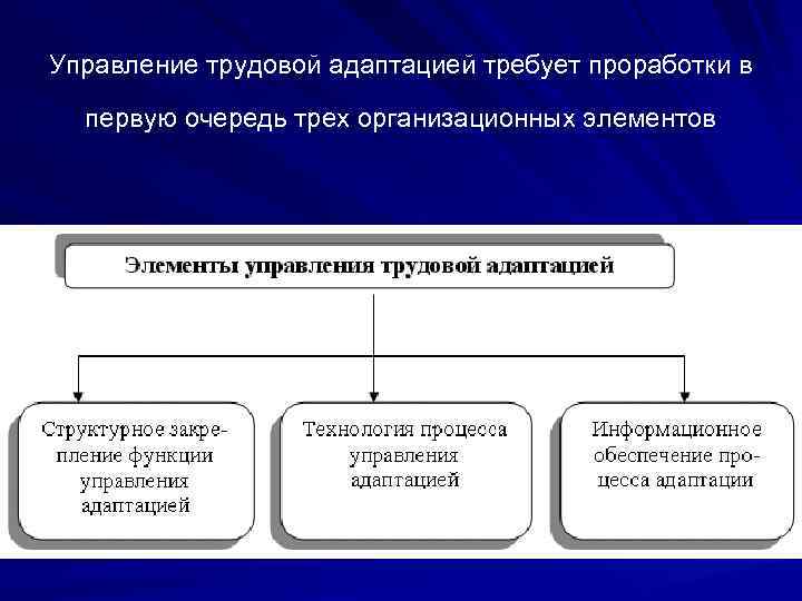 Адаптация организационной структуры управления