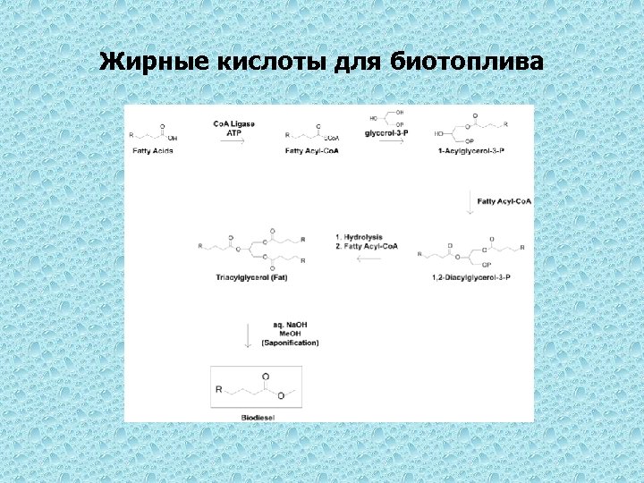 Жирные кислоты для биотоплива 