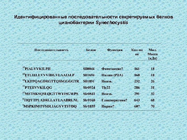 Идентифицированные последовательности секретируемых белков цианобактерии Synechocystis 