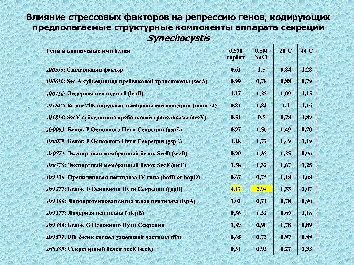 Влияние стрессовых факторов на репрессию генов, кодирующих предполагаемые структурные компоненты аппарата секреции Synechocystis 
