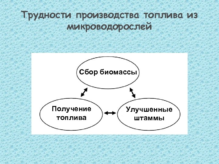 Трудности производства топлива из микроводорослей Сбор биомассы Получение топлива Улучшенные штаммы 