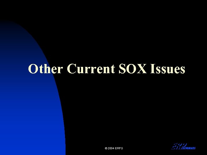 Other Current SOX Issues © 2004 ERPS 