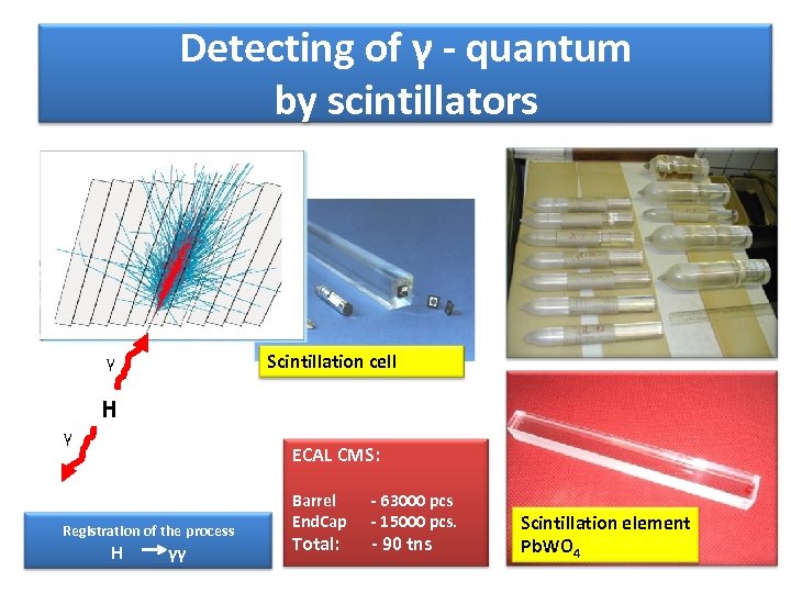 Detecting of γ - quantum by scintillators γ γ Scintillation cell H ECAL CMS: