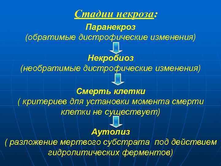 Стадии некроза: Паранекроз (обратимые дистрофические изменения) Некробиоз (необратимые дистрофические изменения) Смерть клетки ( критериев