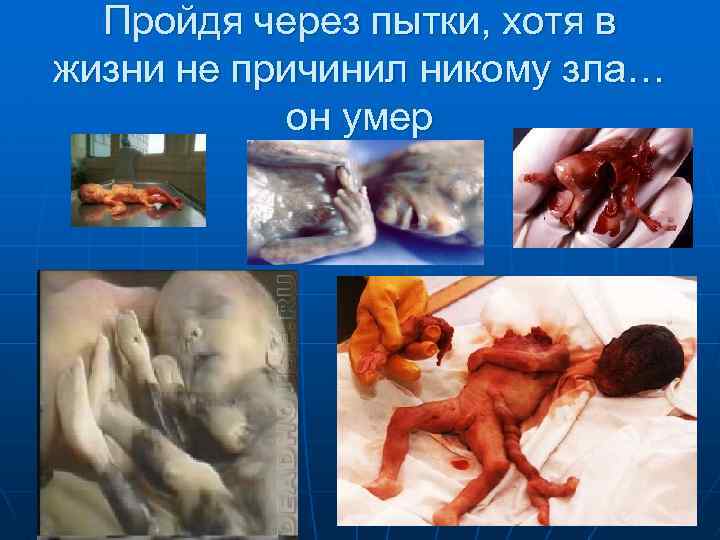 Пройдя через пытки, хотя в жизни не причинил никому зла… он умер 