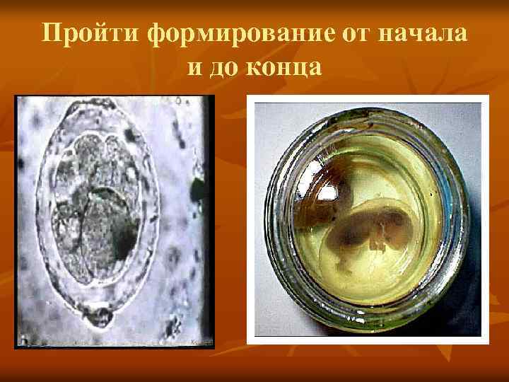 Пройти формирование от начала и до конца 