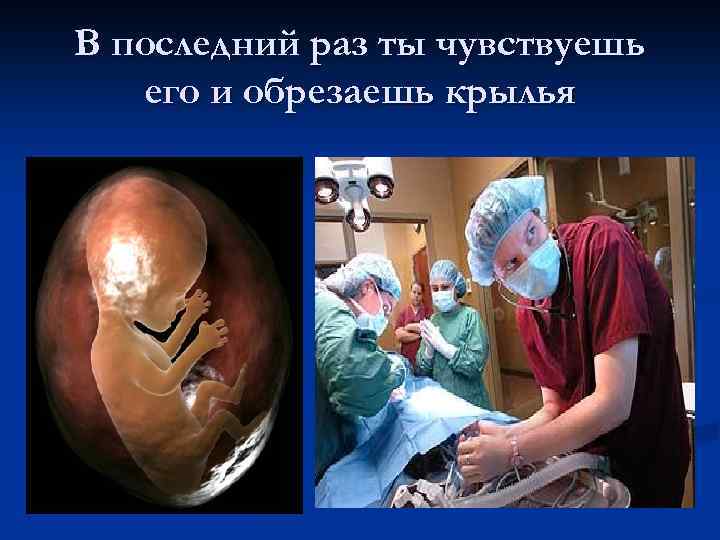 В последний раз ты чувствуешь его и обрезаешь крылья 