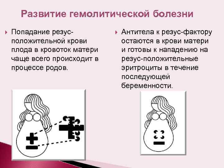 Развитие гемолитической болезни Попадание резусположительной крови плода в кровоток матери чаще всего происходит в