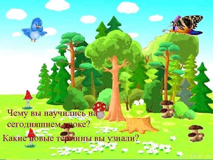 . Чему вы научились на сегодняшнем уроке? Какие новые термины вы узнали? 