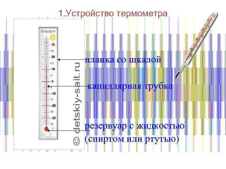 1. Устройство термометра • • планка со шкалой • ……… капиллярная трубка • •