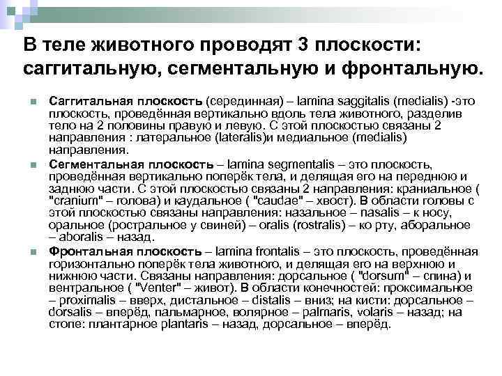 В теле животного проводят 3 плоскости: саггитальную, сегментальную и фронтальную. n n n Саггитальная