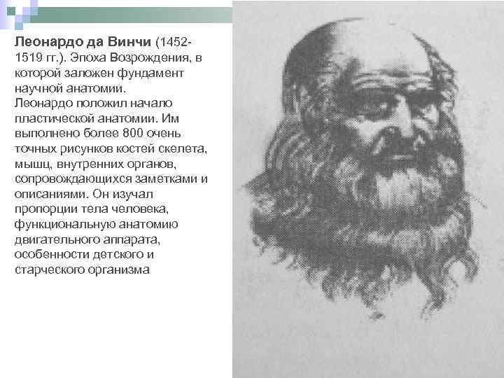 Леонардо да Винчи (14521519 гг. ). Эпоха Возрождения, в которой заложен фундамент научной анатомии.